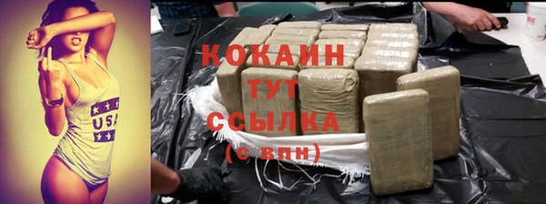 2c-b Богородицк