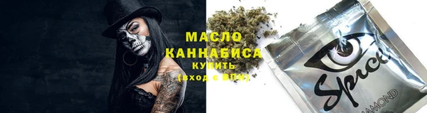 крисы Богородск