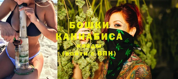 крисы Богородск