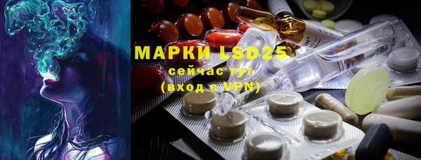 мяу мяу мука Беломорск