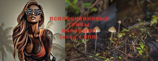 PSILOCYBIN Белоозёрский