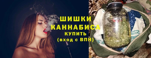 крисы Богородск