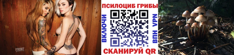 Псилоцибиновые грибы Psilocybe  даркнет сайт  ссылка на мегу ссылки  Курильск 